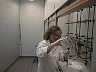 AUT5539.JPG